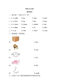 小学英语人教版 (新起点)三年级上册Lesson 2练习