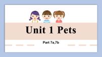 外研剑桥版三年级下册Unit 1 Pets优质ppt课件