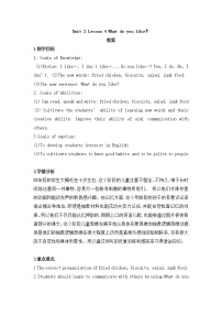 川教版四年级下册Lesson 4 What do you like?教案设计