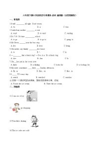 六年级下册英语试题-小升初英语专项训练 动词通用版（含答案解析）