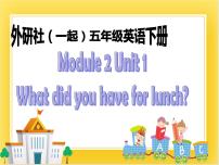 小学英语外研版 (一年级起点)五年级下册Module 2Unit 1 What did she have for lunch?精品ppt课件