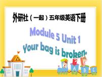 小学英语外研版 (一年级起点)五年级下册Module 5Unit 1 Your bag is broken.评优课课件ppt