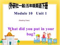 小学英语外研版 (一年级起点)五年级下册Module 10Unit 1 What did you put in your bag ?优秀课件ppt