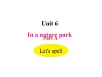 人教版 (PEP)五年级上册Unit 6 In a nature park Part A教案配套课件ppt