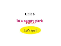 人教版 (PEP)五年级上册Unit 6 In a nature park Part A教案配套课件ppt