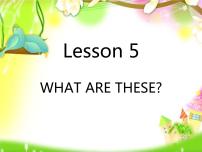 科普版四年级下册Lesson 5 What are these?课前预习ppt课件