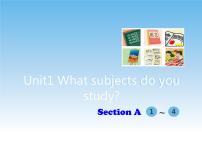 英语五年级下册Unit 1 What subjects do you study?Section A一等奖课件ppt