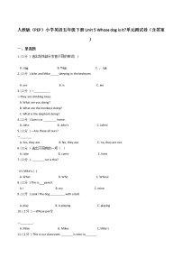 小学英语人教版 (PEP)五年级下册Unit 5 Whose dog is it?综合与测试单元测试课时作业