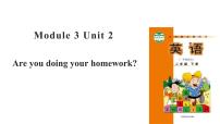 小学英语Module 3Unit 2 Are you doing your homework?教学课件ppt