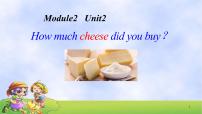外研版 (三年级起点)五年级上册Unit 2 How much cheese did you buy?说课ppt课件