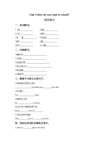 2020-2021学年Unit 2 How do you come to school?精品同步练习题