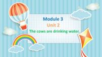 小学英语Unit 2 The cows are drinking water评课ppt课件