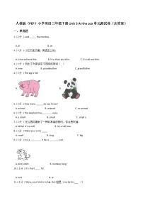 小学英语Unit 3 At the zoo综合与测试单元测试巩固练习