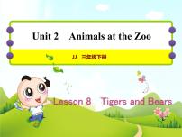 冀教版 (三年级起点)三年级下册Unit 2 Animals at the ZooLesson 8 Tigers and Bears一等奖ppt课件