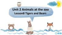 小学英语冀教版 (三年级起点)三年级下册Lesson 8 Tigers and Bears优质课课件ppt