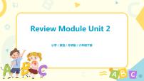 外研版（三起）六年级下册《Review Module Unit 2》课件+教案+练习