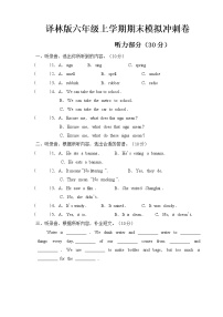 译林版六年级上册期末模拟冲刺卷