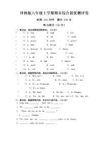 译林版六年级上册期末综合提优测评卷