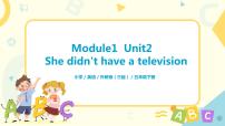 小学英语外研版 (三年级起点)五年级下册Unit 2 She didn't have a television.示范课ppt课件