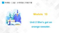 小学英语Unit 2  She’s got an orange sweater.示范课课件ppt