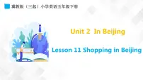 冀教版 (三年级起点)五年级下册Lesson 11 Shopping in Beijing教学演示ppt课件