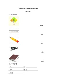 小学英语接力版四年级下册Lesson 12 Do you have a pen?达标测试