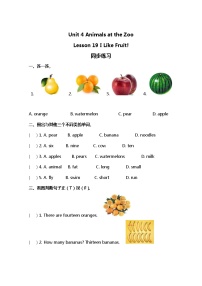 冀教版 (三年级起点)三年级下册Lesson 19 I Like Fruit!课后练习题