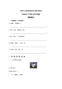 小学英语冀教版 (三年级起点)三年级下册Lesson 2 Cats and Dogs同步训练题