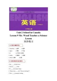 小学冀教版 (三年级起点)Lesson 9 Mr. Wood Teaches a Lesson练习