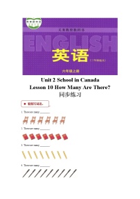 小学英语冀教版 (三年级起点)六年级上册Lesson 10 How Many Are There ?课后复习题