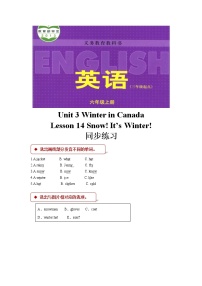 冀教版 (三年级起点)六年级上册Lesson 14 Snow! It's Winter!课时作业