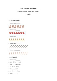 英语六年级上册Lesson 10 How Many Are There ?习题