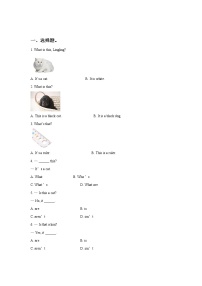 小学英语新版-牛津译林版一年级下册Unit 5 What's this?单元测试课时练习