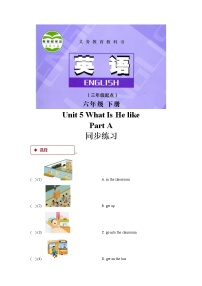 陕旅版六年级下册Unit 5 What Is He like？复习练习题