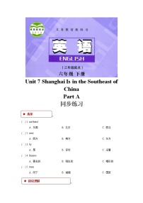 英语六年级下册Unit 7 Shanghai Is in the Southeast of China达标测试