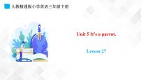 三年级下册Unit 5  It's a parrot.Lesson 27教学演示ppt课件