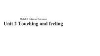 英语三年级下册unit 2 Touch and feeling优秀课件ppt