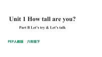 人教PEP版·六年级下册Unit 1 How tall are you_ Part B Let's talk课件PPT