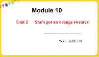 外研版 (三年级起点)三年级下册Unit 2  She’s got an orange sweater.说课ppt课件