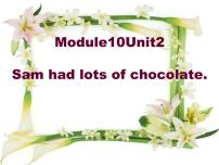 外研版 (三年级起点)四年级下册Unit 2 Sam had lots of chocolates.课堂教学课件ppt