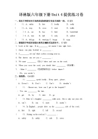 新版-牛津译林版六年级下册Unit 4 Road safety课时练习