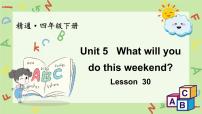 小学英语Lesson 30 Revision说课ppt课件