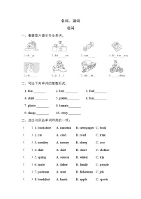 【复习必备】人教版 (PEP)六年级下册——名词、冠词【含答案】