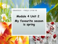 小学英语外研版 (一年级起点)五年级下册Unit 2 My favourite season is spring.教课ppt课件
