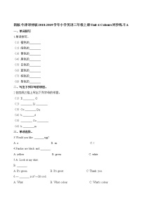 新版-牛津译林版Unit 6 Colours练习