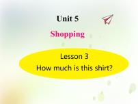 小学鲁科版 (五四制)Unit 5 ShoppingLesson 3 How much is this shirt?背景图ppt课件