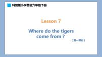 小学英语科普版六年级下册Lesson 7 Where do the tigers come from?试讲课ppt课件