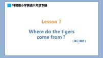 科普版六年级下册Lesson 7 Where do the tigers come from?评优课ppt课件