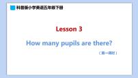 小学英语科普版五年级下册Lesson 3 How many pupils are there?多媒体教学课件ppt