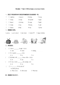 小学英语外研版 (三年级起点)六年级下册Module 7Unit 2 She couldn't see or hear .课时作业